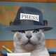 Illustration for article titled Cats Kinja Continuing Mish of INTEGRTIES Journalismwise